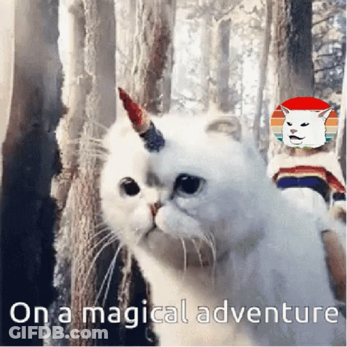 A White Cat With A Unicorn Horn On Its Head Is In The Woods . GIF