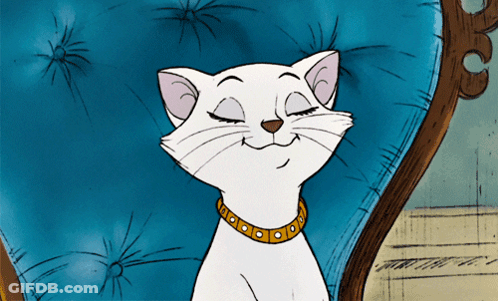 A White Cat With A Yellow Collar Is Sitting In A Chair GIF