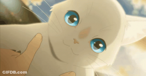 A White Cat With Blue Eyes Is Being Held By Someone GIF