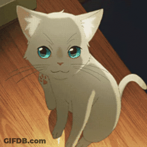 A White Cat With Blue Eyes Is Sitting On A Table GIF