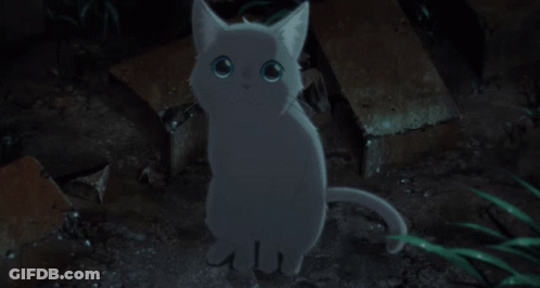 A White Cat With Blue Eyes Is Sitting On The Ground In The Dark GIF