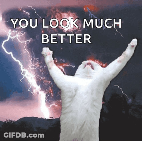 A White Cat With Its Arms In The Air With The Words " You Look Much Better " Behind It GIF