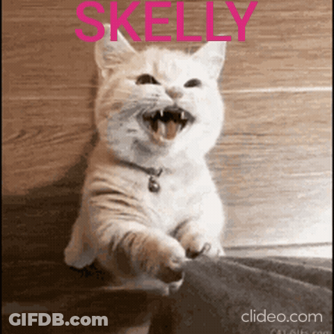 A White Cat With Its Mouth Open And The Word Kelly Written Above It GIF