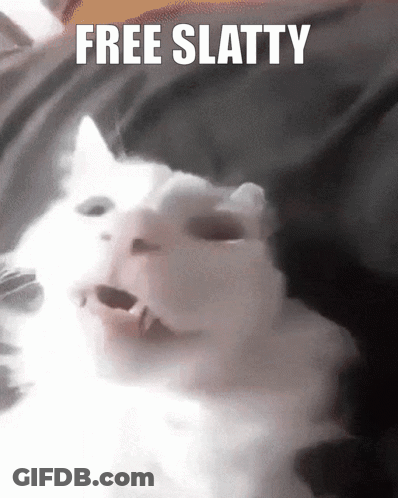 A White Cat With Its Mouth Open And The Words Free Slatty Written Above It GIF