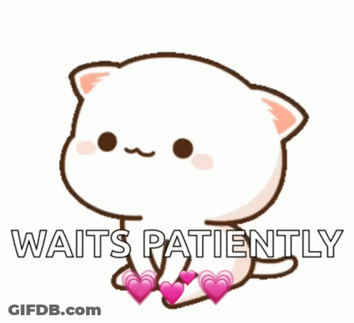 A White Cat With Pink Hearts On Its Legs And The Words Waits Patiently GIF