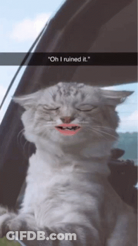A White Cat With Pink Lips Is Sitting In A Car With Its Eyes Closed And A Caption That Says " Oh I Ruined It " GIF