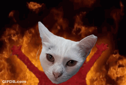 A White Cat With Red Arms Is In Front Of A Fire GIF