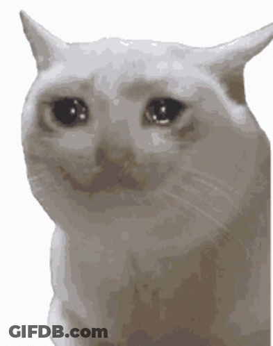 A White Cat With Tears In Its Eyes Is Smiling . GIF