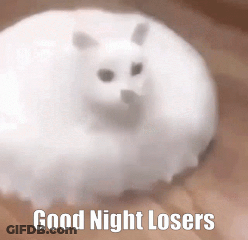 A White Cat With The Words Good Night Losers On It GIF