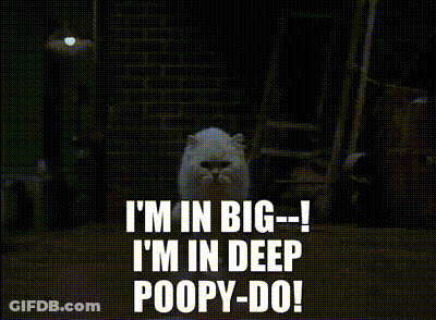 A White Cat With The Words I 'M In Big-- I 'M In Deep Poopy-Do GIF