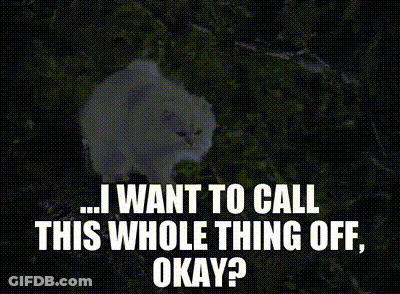 A White Cat With The Words " I Want To Call This Whole Thing Off Okay " Written Below It GIF