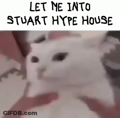 A White Cat With The Words `` Let Me Into Stuart Hype House '' Written Above It GIF