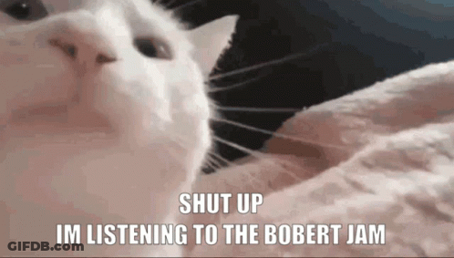 A White Cat With The Words Shut Up Im Listening To The Bobert Jam Above It GIF