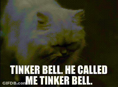 A White Cat With The Words Tinker Bell He Called Me Tinker Bell Written Below It GIF