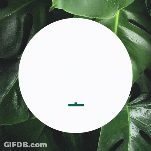 A White Circle Surrounded By Green Leaves With A Green Arrow Pointing To The Left GIF