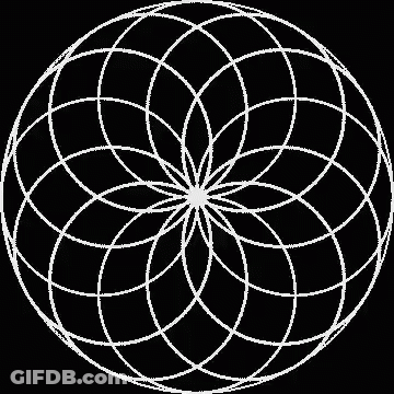 A White Circular Pattern On A Black Background That Looks Like A Flower . GIF