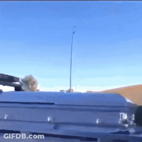 A White Coffin Is Sitting On Top Of A Roof With A Blue Sky In The Background GIF
