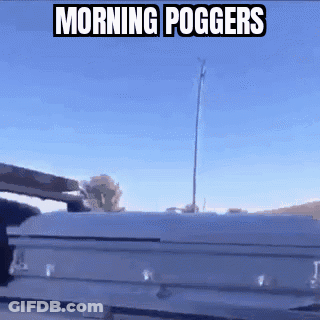 A White Coffin With The Words Morning Poggers On It GIF