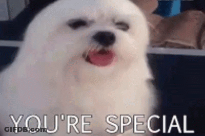 A White Dog Is Saying `` You 'Re Special '' With Its Tongue Hanging Out . GIF