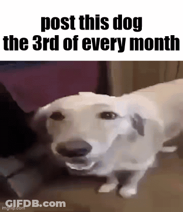 A White Dog Is Sitting On A Couch With Its Mouth Open . GIF