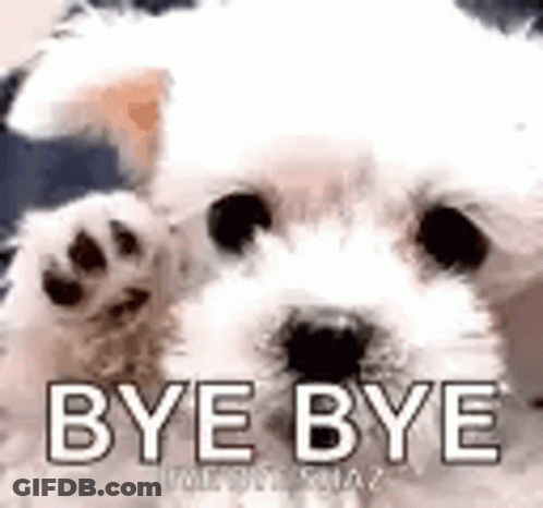 A White Dog Is Waving Its Paw And Says `` Bye Bye '' . GIF