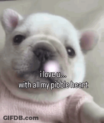 A White Dog Wearing A Pink Sweater Says I Love U With All My Pebble Heart . GIF