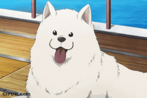A White Dog With A Pink Tongue Sticking Out Looks At The Camera GIF