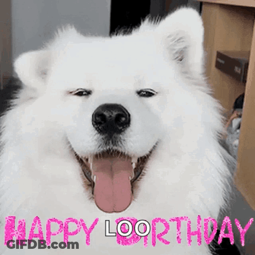 A White Dog With Its Tongue Out And The Words Happy Loorthday Written On It GIF