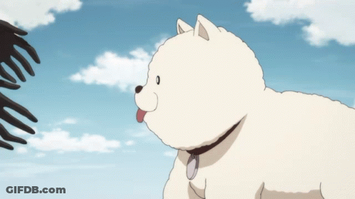 A White Dog With Its Tongue Out Is Being Held By A Person 'S Hand GIF