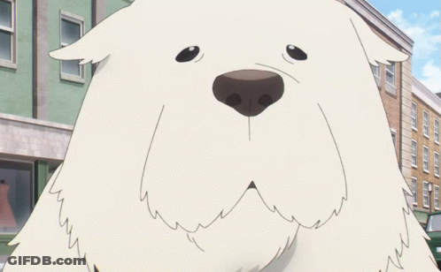 A White Dog With Its Tongue Out Is Standing In Front Of A Brick Building GIF