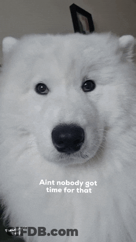White Dog With Aint Nobody Got Time For That GIF