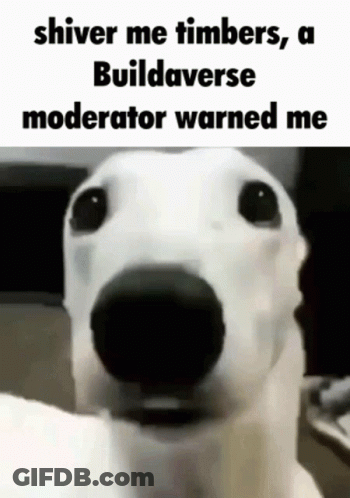 A White Dog With The Words Shiver Me Timbers , A Buildaverse Moderator Warned Me On Its Face . GIF
