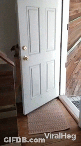 A White Door With A Rug In Front Of It And The Word Viralhog On The Bottom GIF