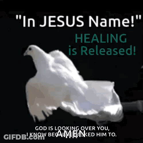 A White Dove Is Being Held In Someone 'S Hand With The Words " In Jesus Name ! " GIF