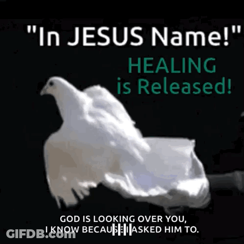 A White Dove Is Flying Over A Person 'S Hands With The Words " In Jesus Name Healing Is Released " GIF