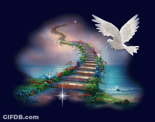 A White Dove Is Flying Over A Staircase That Leads To The Ocean GIF