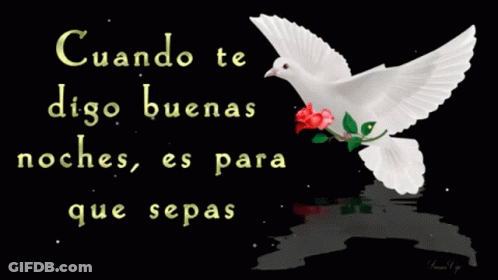 A White Dove With A Red Rose Is Flying In Front Of A Black Background That Says Que Eres Mi Ultimo GIF