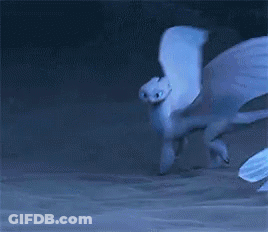 A White Dragon With Wings Is Flying Through The Air . GIF