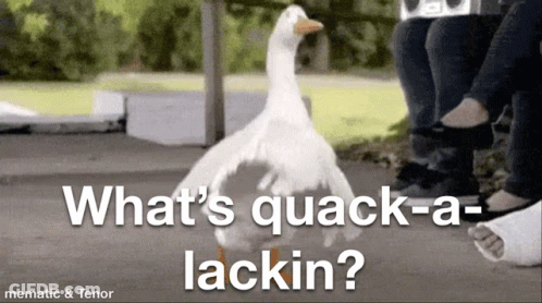 A White Duck Is Standing In Front Of A Group Of People With The Words `` What 'S Quack-A-Lackin '' . GIF