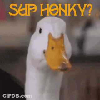 A White Duck With A Yellow Beak Is Standing In Front Of A Sign That Says Sup Honky GIF