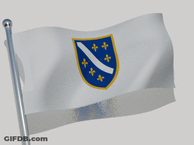 A White Flag With A Blue Shield And Gold Fleur De Lis GIF
