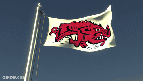 A White Flag With A Red Boar On It And The Letters Tm On It GIF