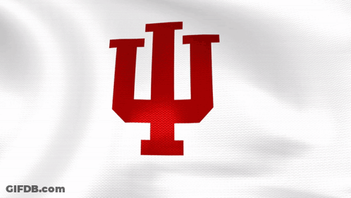 A White Flag With A Red U On It GIF