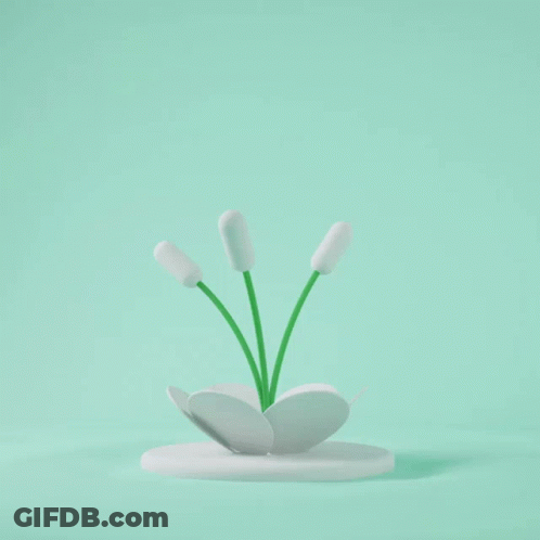 A White Flower With Green Stems And White Petals On A Mint Green Background GIF