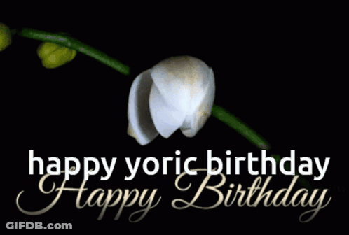 A White Flower With The Words Happy Yoric Birthday Written Below It GIF