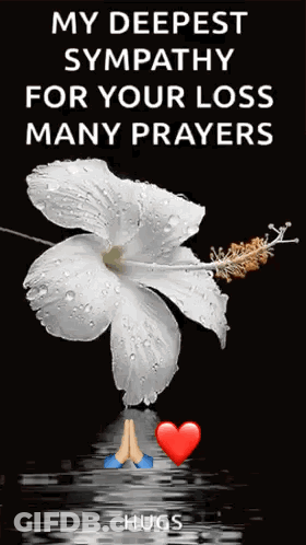 A White Flower With Water Drops On It And A Message That Says My Deepest Sympathy For Your Loss Many Prayers Hugs GIF