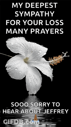 A White Flower With Water Drops On It Is On A Black Background GIF