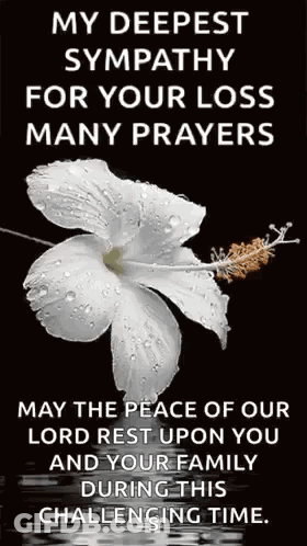 A White Flower With Water Drops On It Is On A Black Background With A Message . GIF