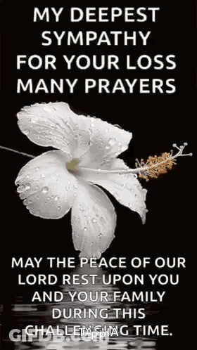 A White Flower With Water Drops On It Is On A Black Background With A Prayer . GIF