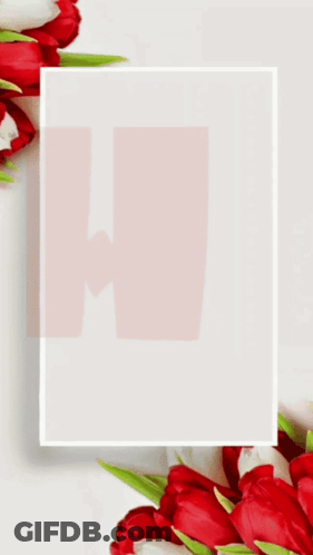 A White Frame With Red And White Flowers And The Letter A GIF